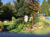 The Guardian – a Four-Month Case Study