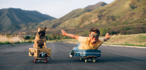 Young boy and a pug dog wearing goggles laying on skateboards rolling down a road with suitcases smiling and having fun