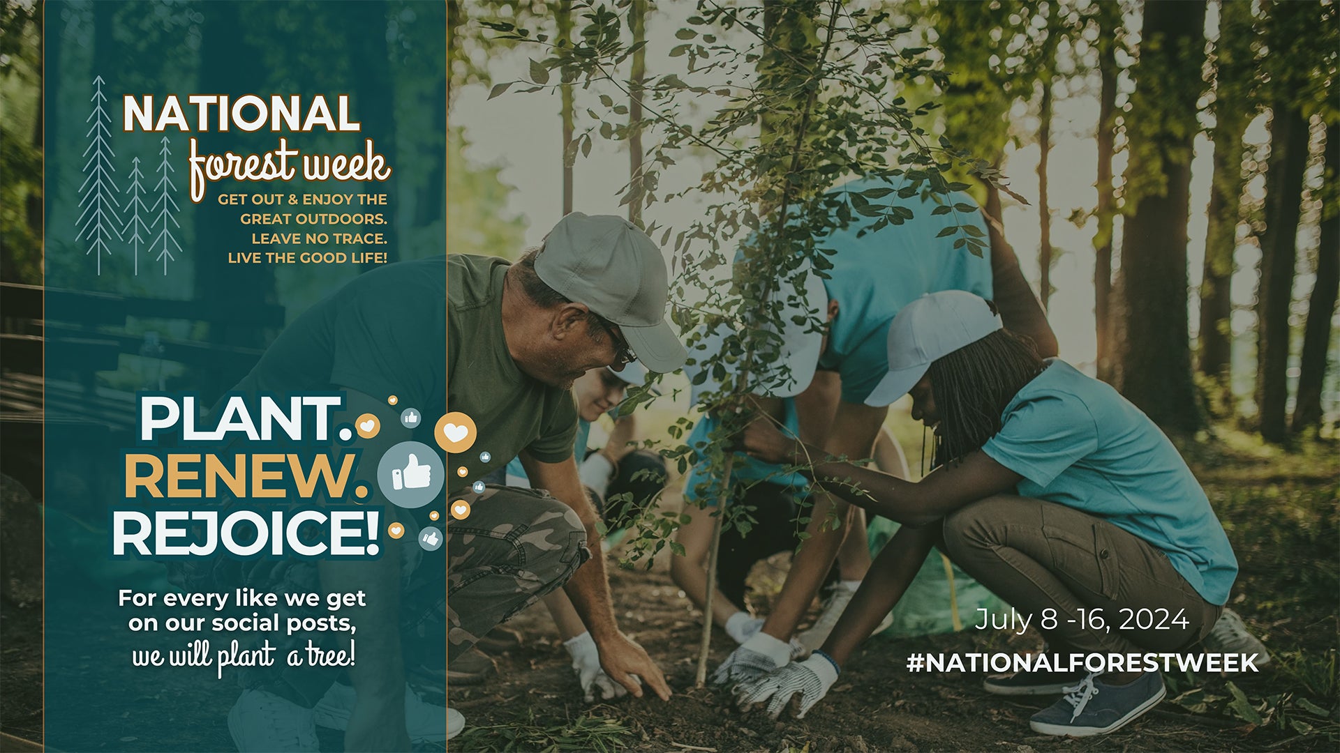 Narional Forest Week - Pant, Renew, Rejoice. 
