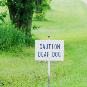Deaf Dogs 101