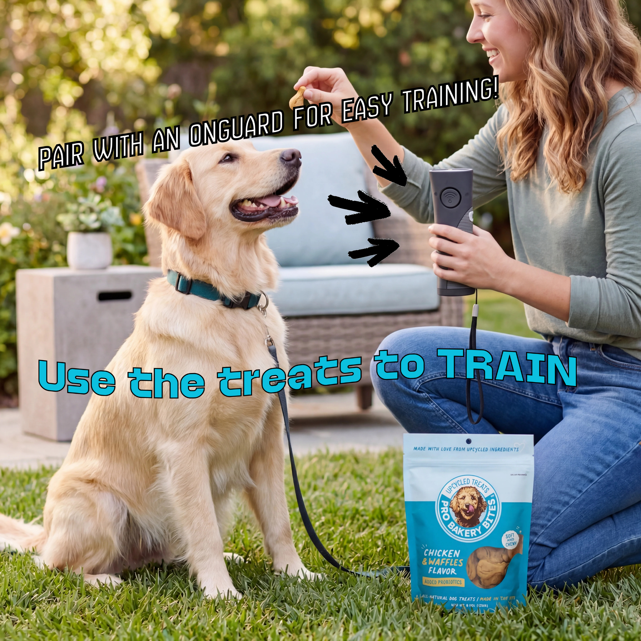 Introducing Probiotic Dog Treats: The Secret to Healthier Training Sessions