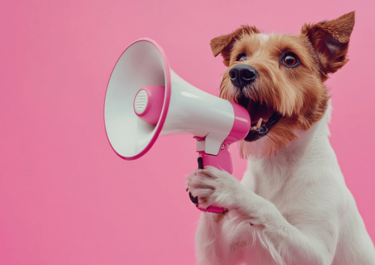 Why Dogs Bark: Understanding the Root Causes of Excessive Barking