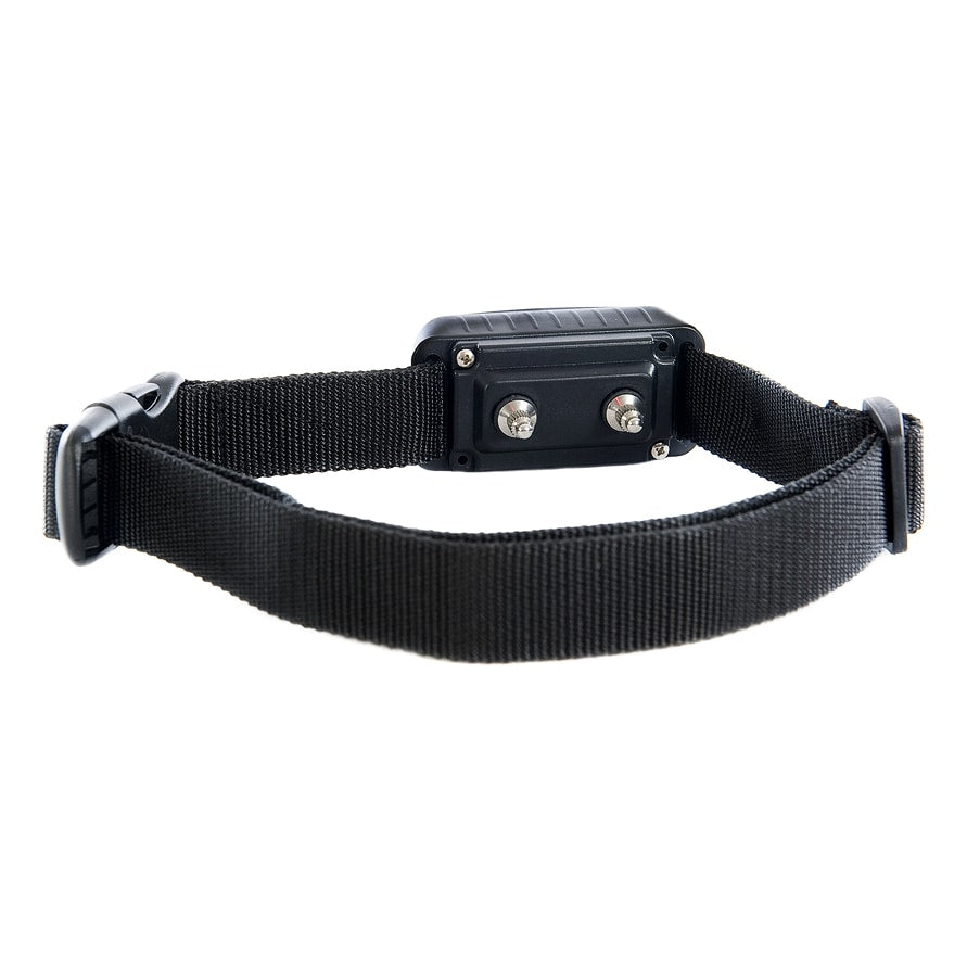 Things You Should Know Before You Buy a Shock Collar Ultimate Bark