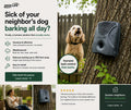 BROOKE DOG TREATS - Nextdoor conversion test