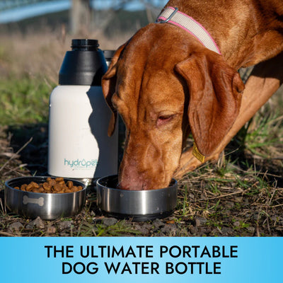 HydroPet Stainless Steel Dog Water Bottle with Dual Bowls (32 oz / 64 oz)