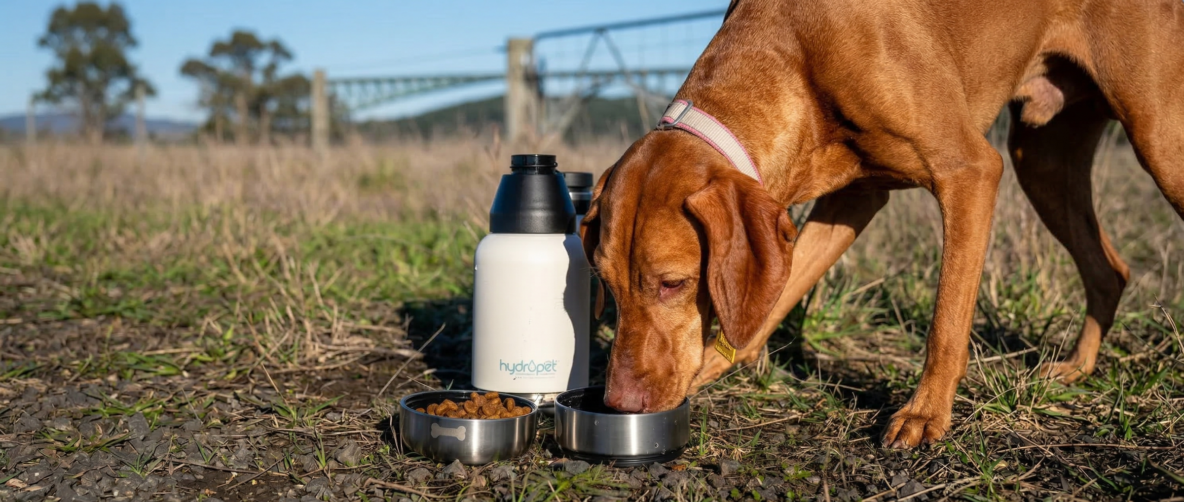 Dog drinking from a HydroPet dog water bottle outdoors with a bowl of food nearby.
