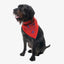 Insect Shield Dog Bandana