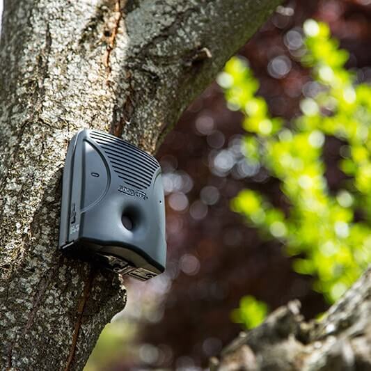 Dog Silencer MAX mounted on tree