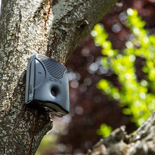 The Dog Silencer MAX attached to a tree to get line of sight to the barking neighbor's dog