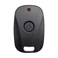 DS MAX Keychain Remote