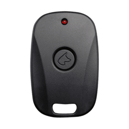 DS MAX Keychain Remote
